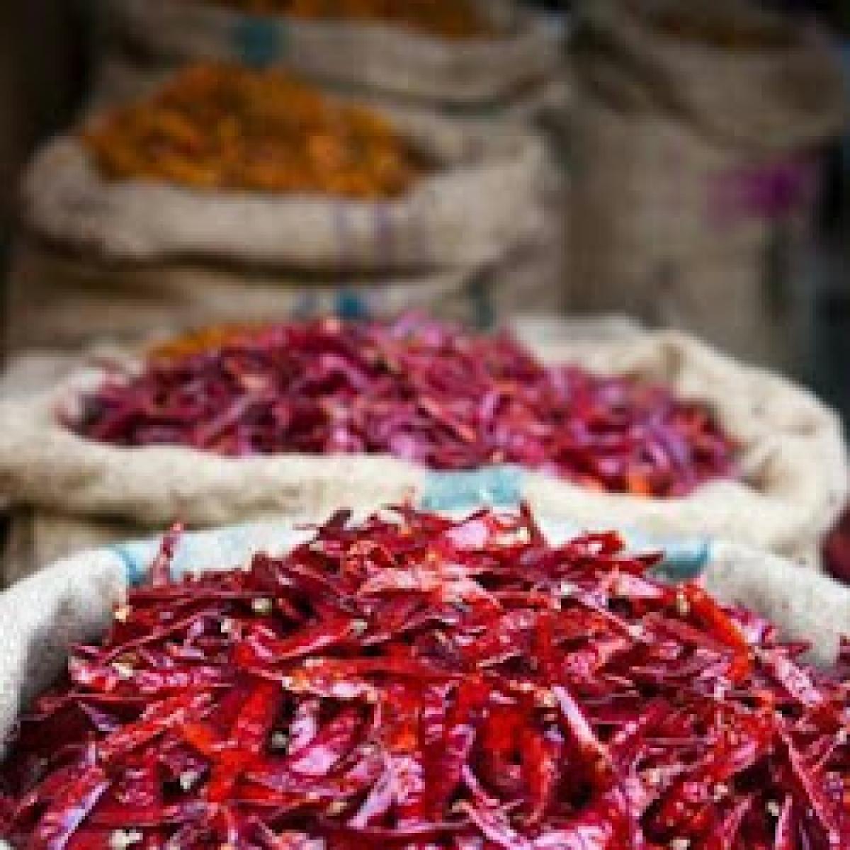 ALAKSHYA US 341 F1 MIRCH 